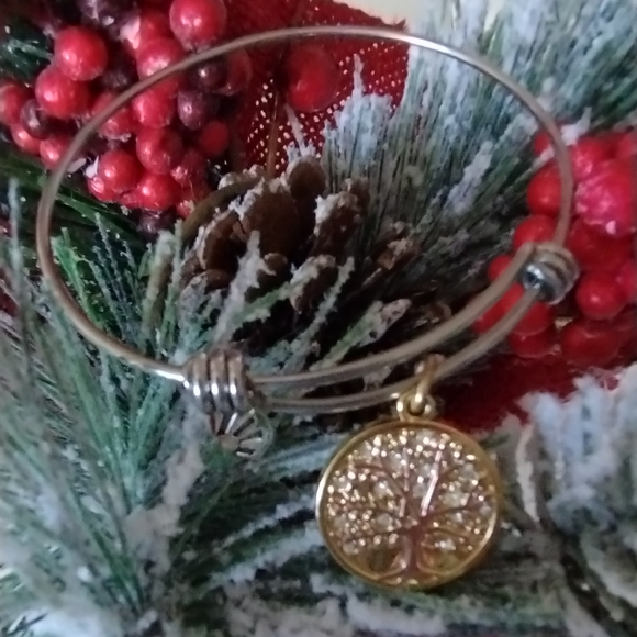 Tree Of Life Charm Bangle Adjustable Two Tone Bracelet - Picture 15 of 15